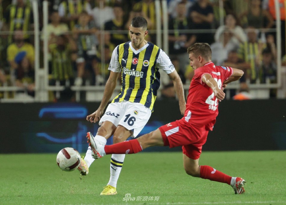 不再仅仅是 不再仅仅是